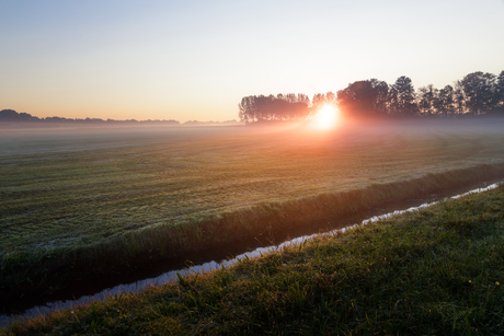 De Alde Feanen, Earnewâld 