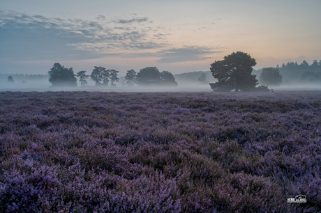 Renderklippen Mist