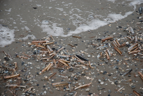 strand paal 8 terschelling