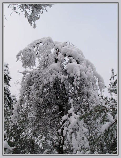 Winterdeken