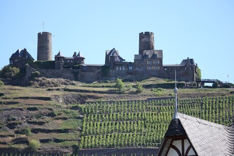 kasteel aan wijngaard