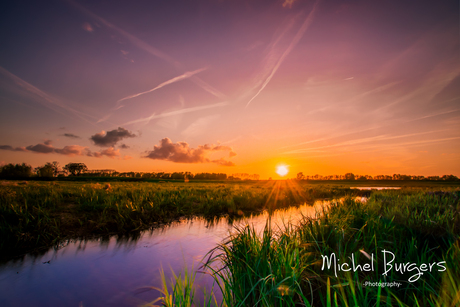 Waving reed