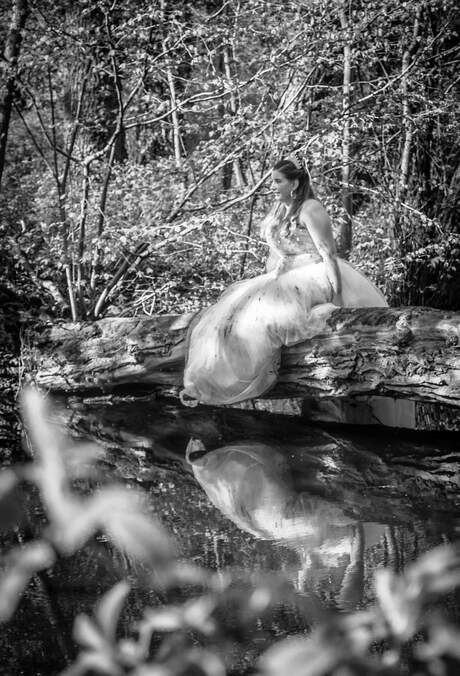 Trash the dress