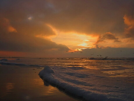 Beach colors