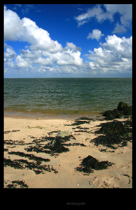 Terug naar Terschelling