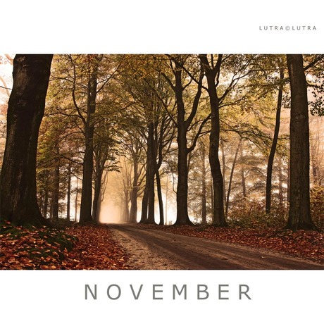 November...03