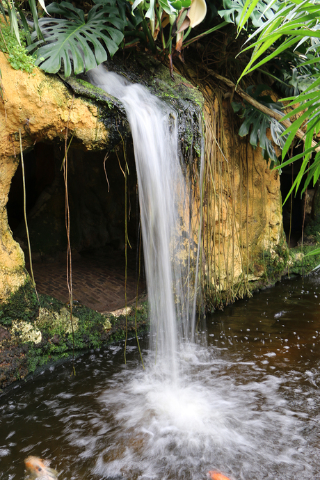 Waterval