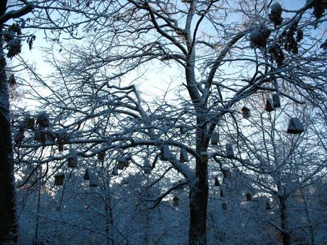 winterhuisjes