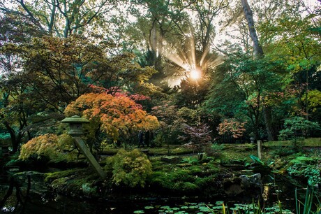 Japanse tuin