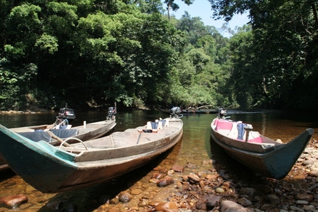 Longtailboten Maleisië