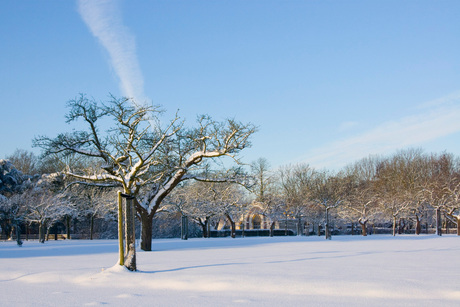 Sneeuwlandschap