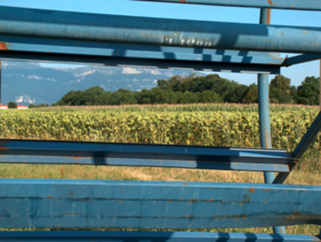 Wheel of fortune III