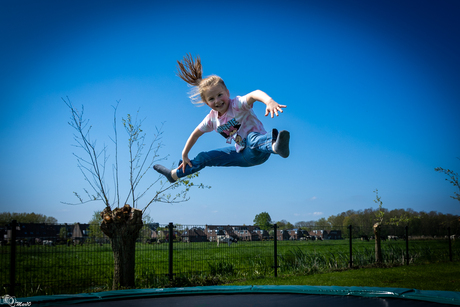 Flying Fay