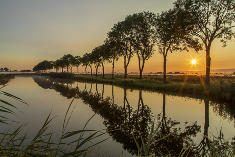 zonsopkomst boven mist