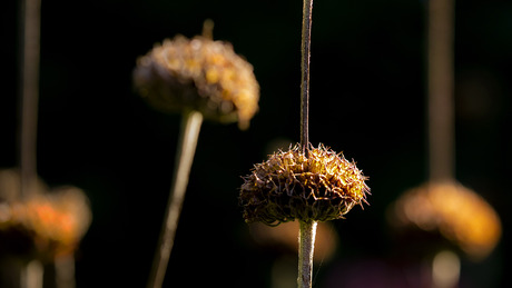 Herfst in de etalage