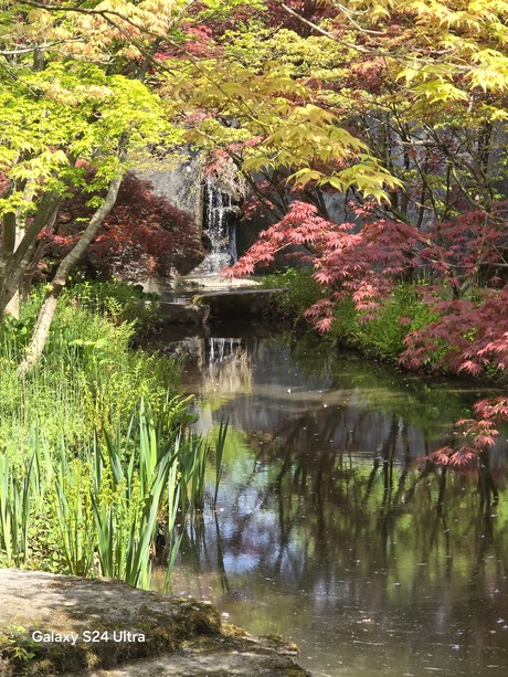 Oosterse watertuin in bloei
