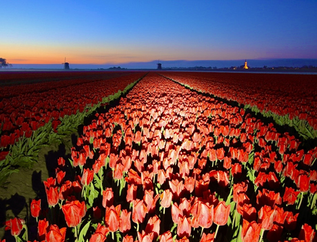 Rood blauw