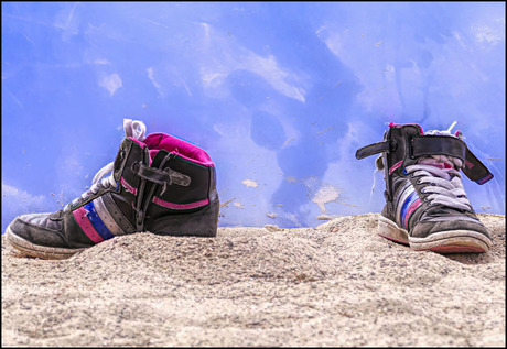 ik had ze opgezet................................