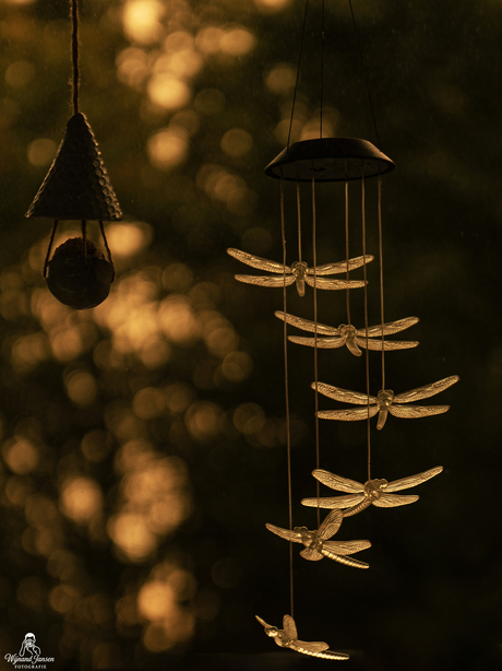 When the sun goes down