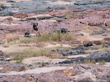 Olifants Landschap