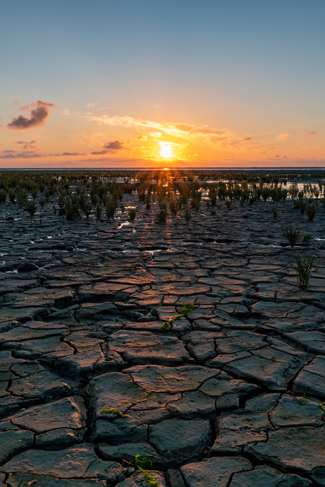 Mudflats