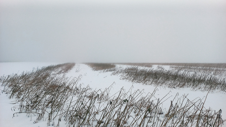 winters landschap
