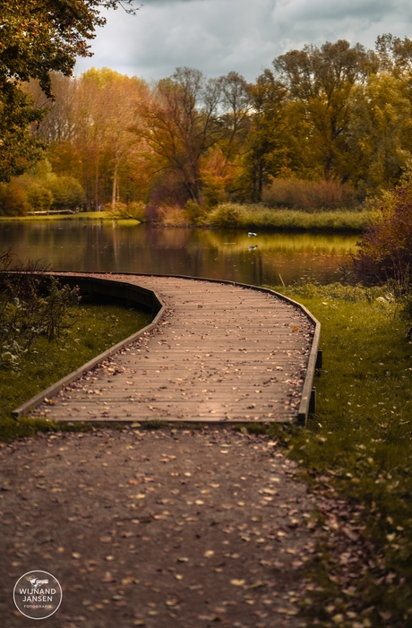 Lovely walk through the forest