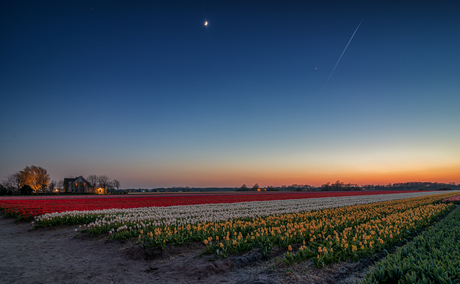 Bollenstreek by night