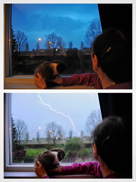 Onweer