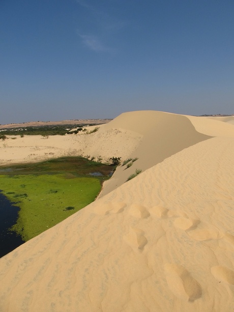 Witte zandduinen mui Ne in Vietnam .jpg