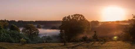 Brunssumerheide