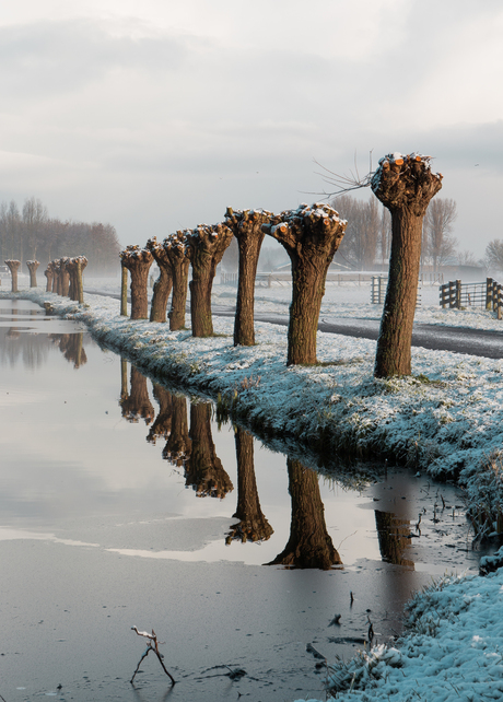 sneeuw in de polder