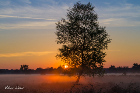 20160507-_MG_5748-HDR