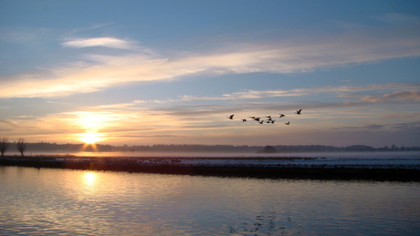 wintervlucht