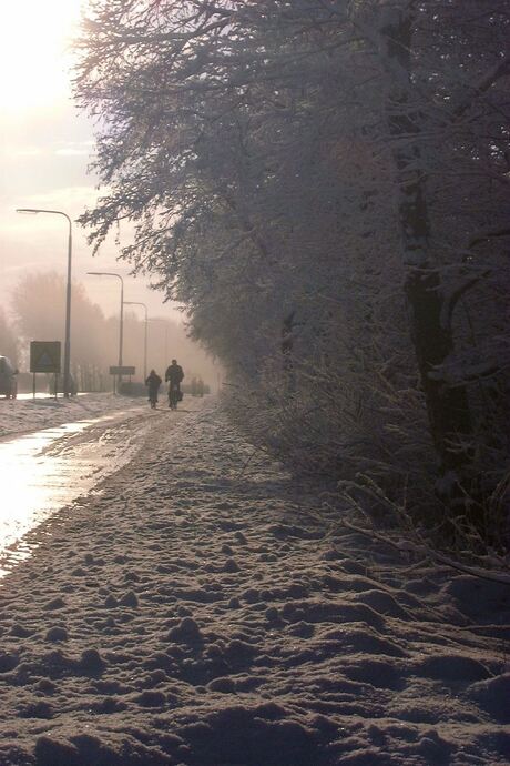 Winter in Friesland