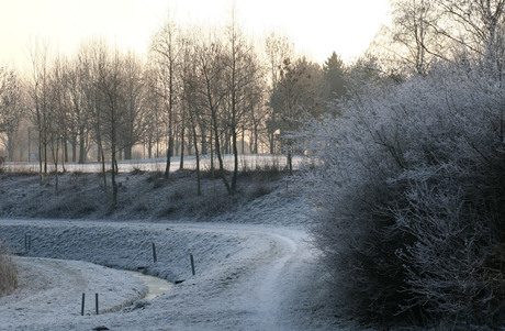 Winter 2009 - 7