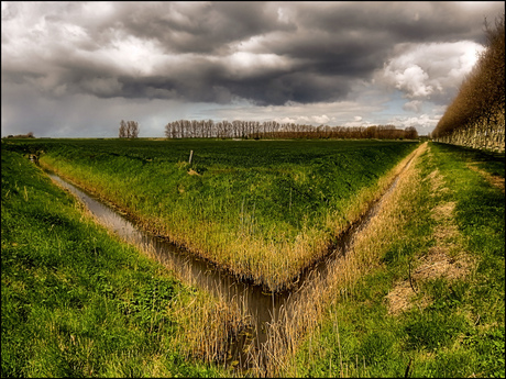 De Polder