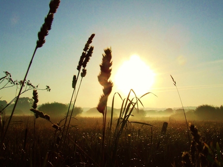 Sunrise in the mist...