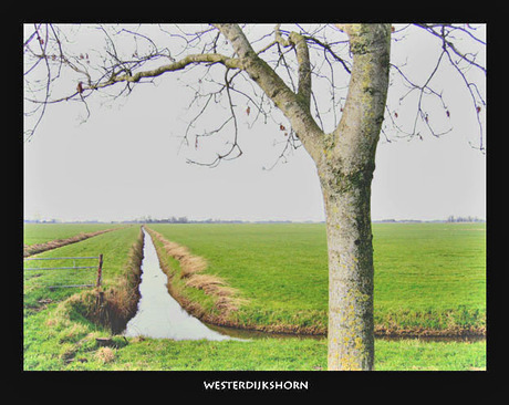 Westerdijkshorn