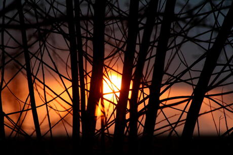 Zeeuwse zonsondergang