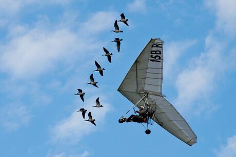 Christian Moullec and his Goose