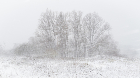 BALC- sneeuwstorm