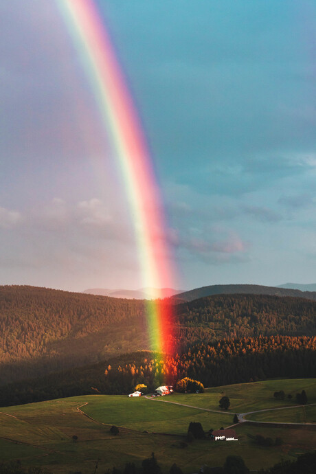 regenboog