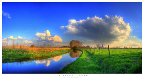 Lente landschap