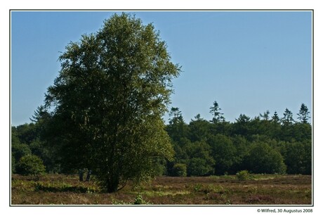 De Heide in Ermelo