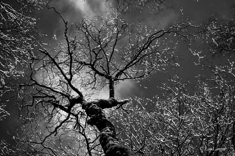 Vandaag de eerste sneeuw...?