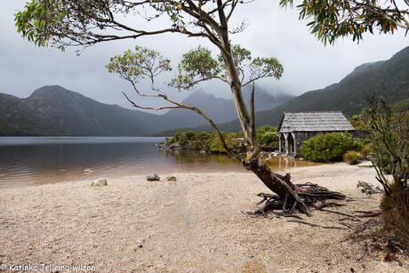 Cradle mountain day 1