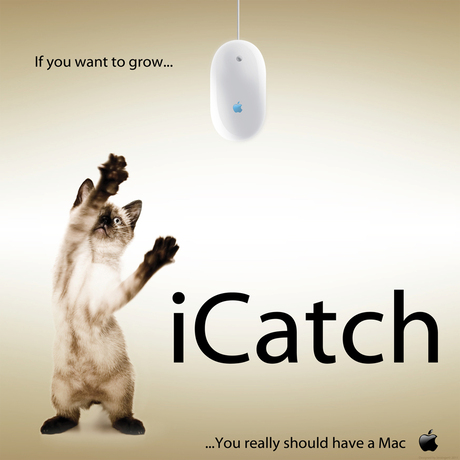 iCatch...