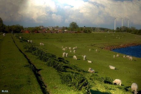 Mijn dorp achter de dijk.