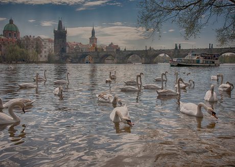 Karelsbrug in Praag